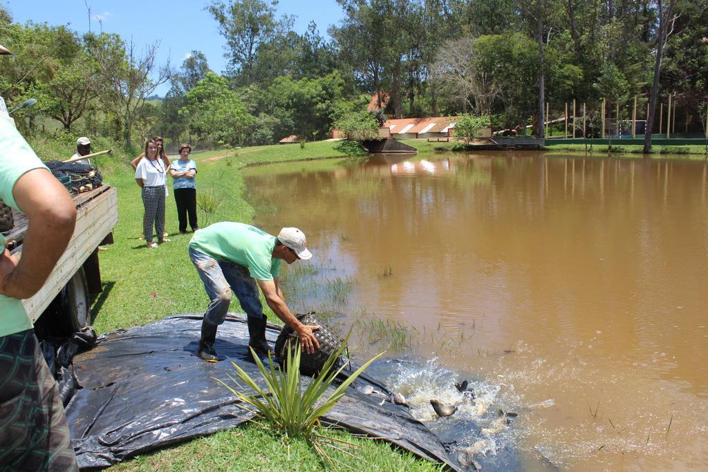Hotel Fazenda Vista Alegre Sao Lourenco  Luaran gambar